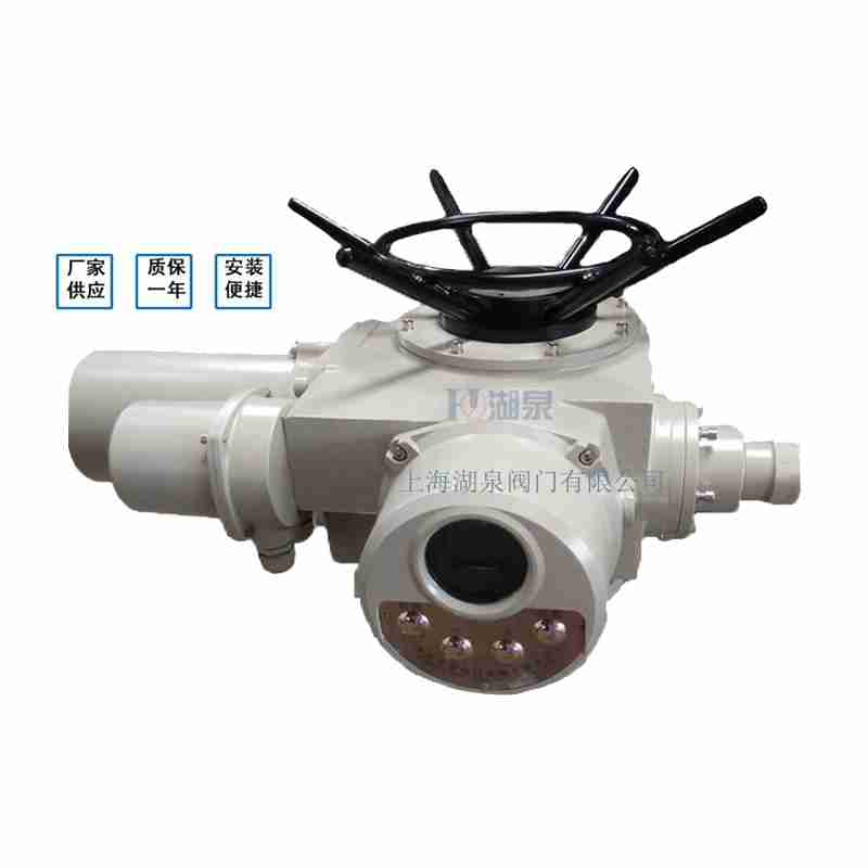 閥門電動裝置（dzw05,10,20，30,45,60，90,12